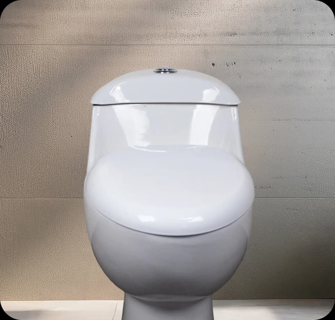 Conoce nuestros modelos de sanitarios